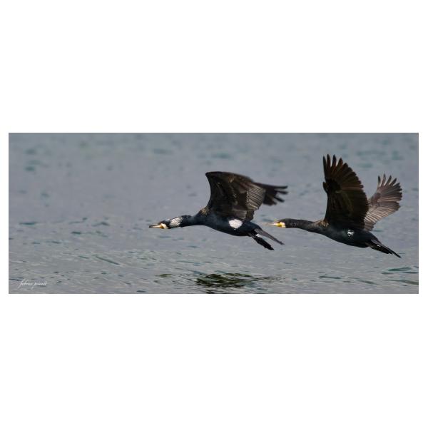 PHOTO84, CLUB, 84 , LUBERON